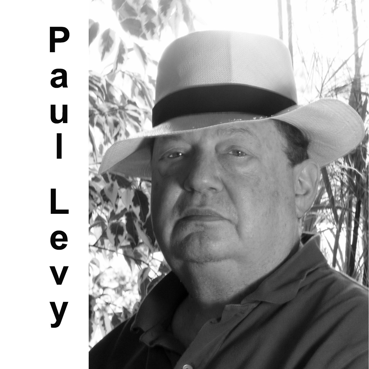 Paul Levy